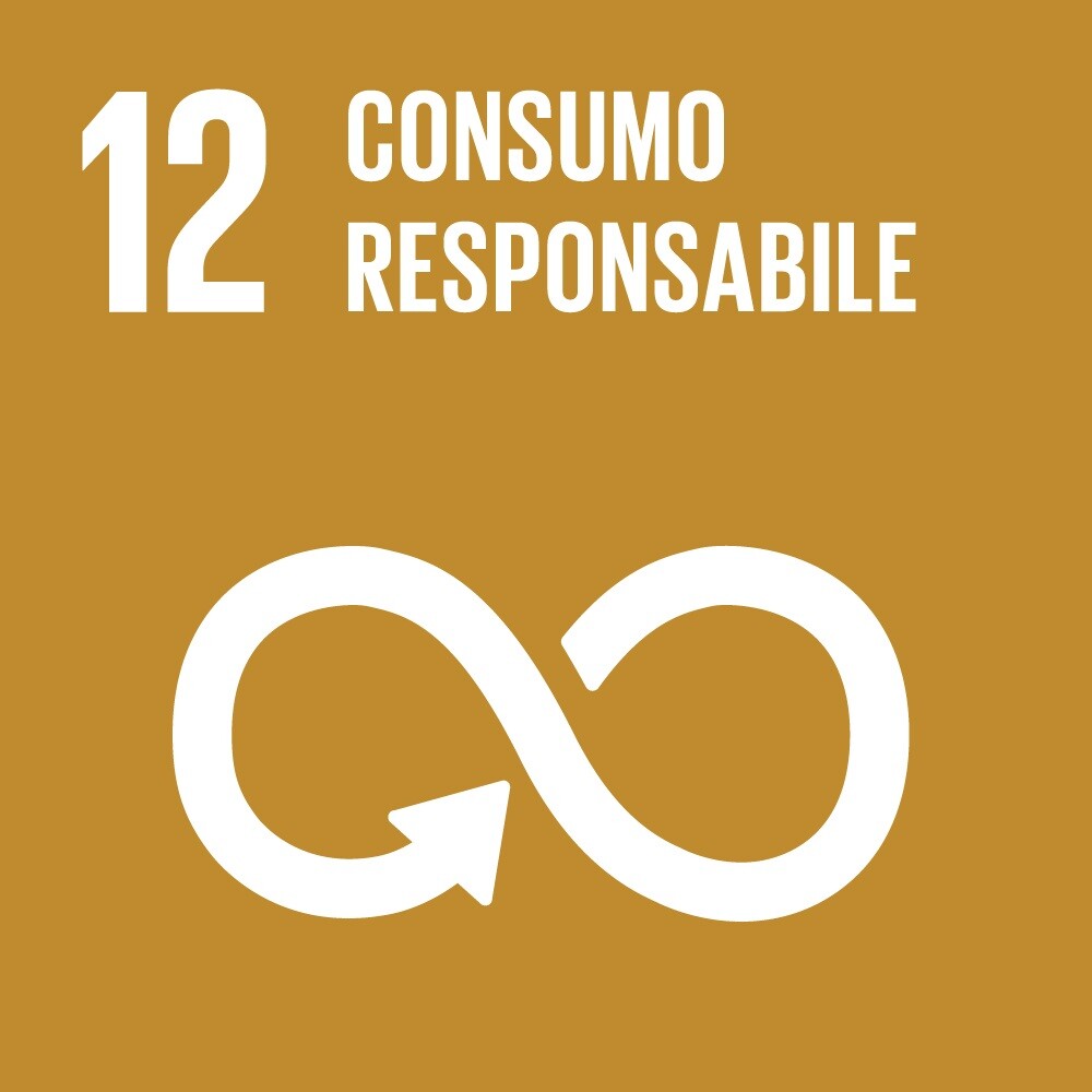 SDG12