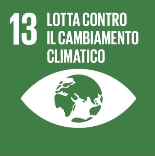 SDG13
